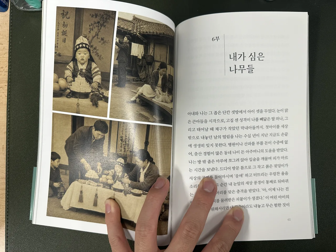 옛 가족사진과 함께 편집된 자서전 6부 내가 심은 나무들 본문